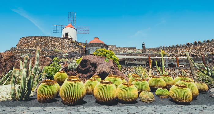 Jardin de Cactus á Lanzarote