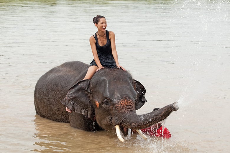 Le Village des éléphants á Pattaya