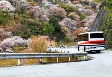 Voyager en bus au Japon